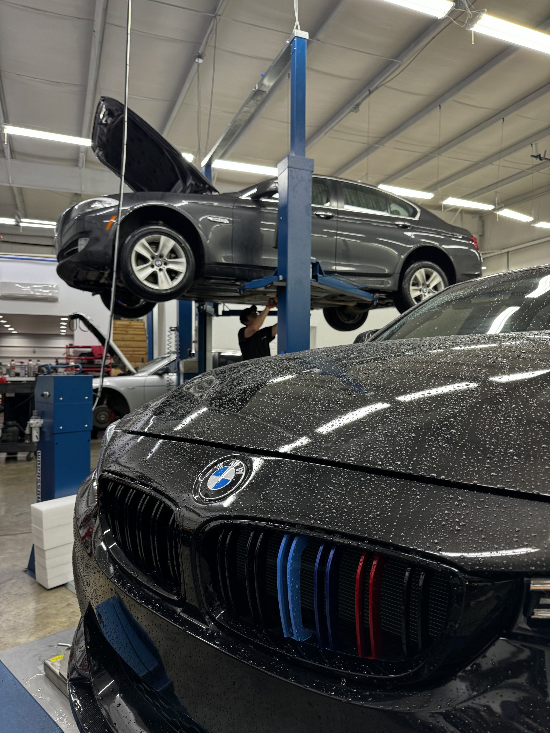 Exceptional customer service for BMW, Mercedes & MINI drivers at Bimmer Logic